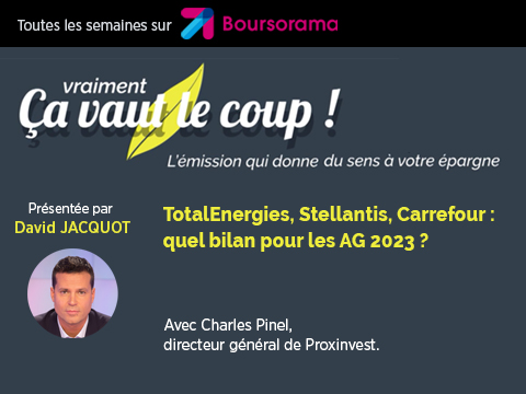TotalEnergies, Stellantis, Carrefour : quel bilan pour les AG 2023 ?